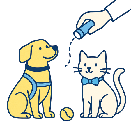 Kedi Köpek Aksesuar Kedi Köpek Aksesuar